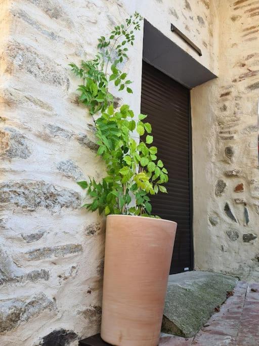 La Casa Cosy Love, Avec Jacuzzi Et Sauna Prives Palau-del-Vidre Exterior foto